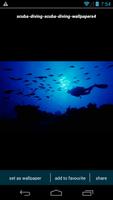 Scuba Diving Wallpapers Affiche