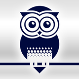 Wise Owl icône