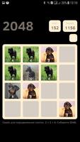 Dobermans 2048 Affiche