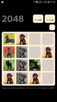 Dobermans 2048 screenshot 2