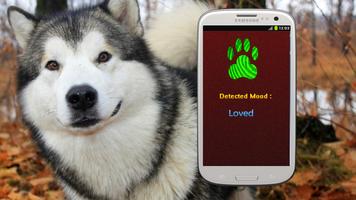 Dog Mood Scanner (Detector) capture d'écran 3