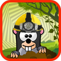 Crazy Mole