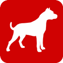 Dogo Creativo Corp. APK