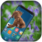 Dog Walking in Phone-Dog licks Phone icône