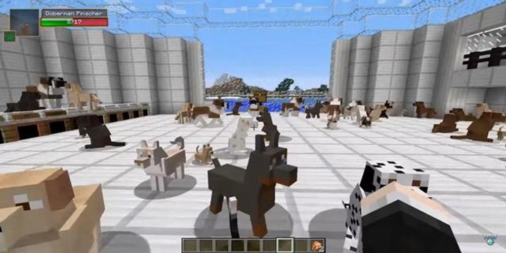 Dog Mod For Minecraft Pe For Android Apk Download