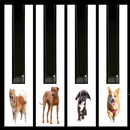 Dogs barking piano APK