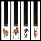 Dogs barking piano icône