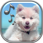 Dog Barking Sound Ringtone icône