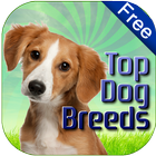 Dog Breeds Easy Pet Finder-icoon