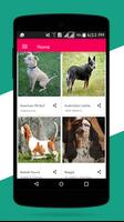 Dog Breeds Easy Pet Finder পোস্টার