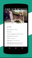 Dog Breeds Easy Pet Finder Ekran Görüntüsü 1