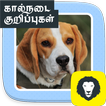 Pet Care Tips Dog Health Care Advice Tamil
