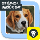 Pet Care Tips Dog Health Care Advice Tamil icône