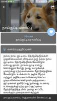 Pet Care Tips Dog Health Care Advice Tamil capture d'écran 3