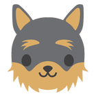 Dog Commander icon