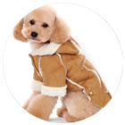 Dog Clothes Design Ideas icône