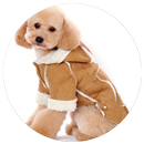 Hundebekleidung Design-Ideen APK