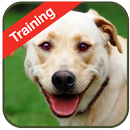 Dog Training APK