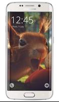 Summer Squirrel Live Wallpaper Affiche