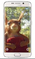 Summer Squirrel Live Wallpaper syot layar 3