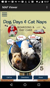 Dog Days Cat Naps Apk App Free Download For Android
