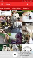 1 Schermata Doggo Memes