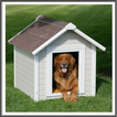 Dog Houses Design