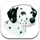 Dog run APK