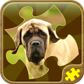 Psy Gry Puzzle