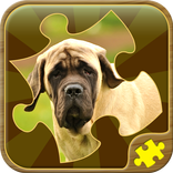 Hunde Puzzle Spiele