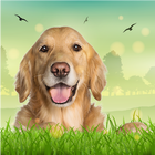 Crazy Dog Simulator ไอคอน