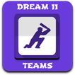”Dream 11 Team