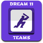 Dream 11 Team Zeichen