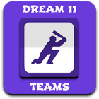 Dream 11 Team 圖標