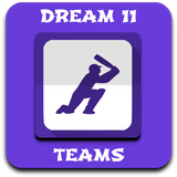 Dream 11 Team