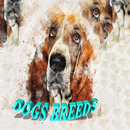 dogs breed APK
