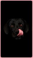 HD Labrador Retriever Wallpapers - Dogs Background ภาพหน้าจอ 1