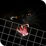 HD Beautifu Cute Kitty Tomcat Wallpapers - Kitten