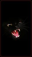 HD Beautifu Cute Kitty Tomcat Wallpapers - Kitten plakat