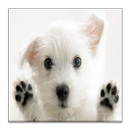 Cute Dogs, Puppies Jigsaw Game APK