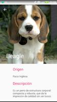 DogsApp 截图 1