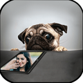 Dog Selfies
