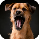 Dog Sound APK