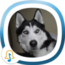 Dog Sounds APK