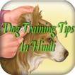 Dog Training Tips in Hindi