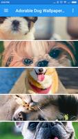 Dog Wallpaper for Android اسکرین شاٹ 1