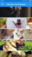 Dog Wallpaper for Android Screenshot 2