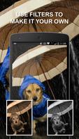 Dog Wallpapers স্ক্রিনশট 3