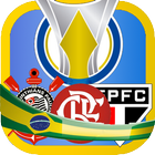 BRASILEIRÃO 2019 Jogo -  Serie A / B आइकन