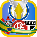 BRASILEIRÃO 2019 Jogo -  Serie A / B APK